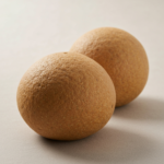 شركة مكافحة حشرات بالطائف: الحل الأمثل لمنزل نظيف وآمن