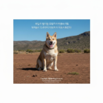 شركة مكافحة حشرات بجدة: الحلول الفعالة لمنزل نظيف وآمن تمامًا