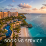 شركة مكافحة حشرات بمكة: أفضل الحلول الآمنة والفعالة لمنزلك ومكتبك